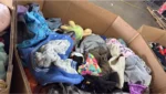 Baby Clothes Pallets & Shoes Pallets for Sale - Image 8
