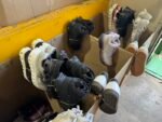 ATHLETIC SHOES Export Pallet - Image 10